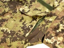 D5-1650LF_zz2.jpg